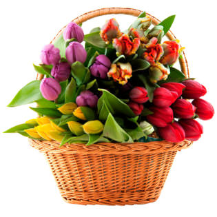 Цветы в корзинке «Микс тюльпанов»